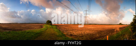 Pylone marschieren über Ackerland in Frome Valley, Dorset, bei Sonnenaufgang. Stockfoto