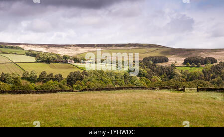 Landwirtschaftlich genutzten Feldern und Moorland oberhalb Heptonstall in der südlichen Pennines Hochland Region von England. Stockfoto