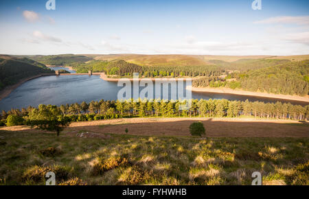 Erstes Licht auf Howden Reservoir in Derbyshire ist Upper Derwent Valley, Teil der Wasserversorgung für Sheffield bewaldet. Stockfoto