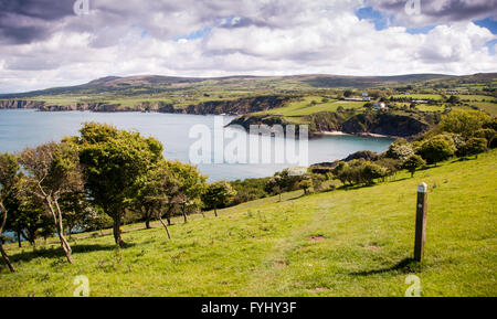 Grüne Felder führen hinunter auf die Klippen und das Meer am Newport Bay von dinas Kopf im Pembrokeshire Coast National Park gesehen, Wales. Stockfoto