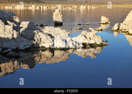 See-Stalagmiten aus dem Tuffstein spiegeln sich im Wasser Stockfoto