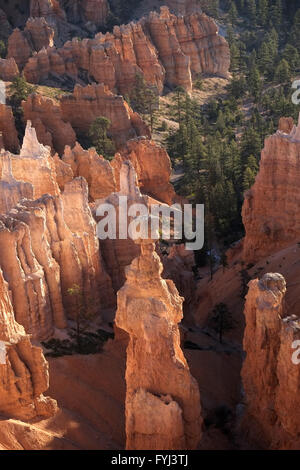 Bryce Canyon Nationalpark, der Hammer des Thor Stockfoto