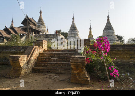 Minochantha Stupa Gruppe, Alt Bagan, Myanmar, Asien Stockfoto