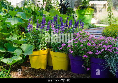 Schöne Blumen Töpfe stehen in den Garten, Nahaufnahme Stockfoto