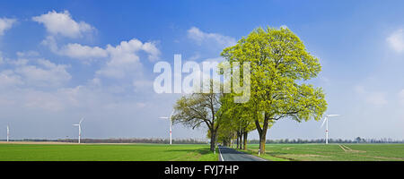 Windkraftanlagen und Bäumen gesäumten Landstrasse, Deutschland Stockfoto