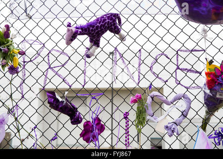 Ehrungen und Andenken links pop für-Ikone Prince außerhalb Paisley Park in Chanhassen, Minnesota. Stockfoto