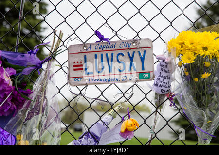 Ehrungen und Andenken links pop für-Ikone Prince außerhalb Paisley Park in Chanhassen, Minnesota. Stockfoto