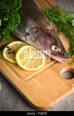 Zander auf einem Brett aus Holz Küche, es ist isoliert auf weiss Stockfoto