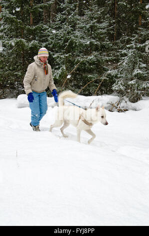 Frau mit einem weißen Hund auf einem Spaziergang in den Wäldern während eines Schneefalls Stockfoto