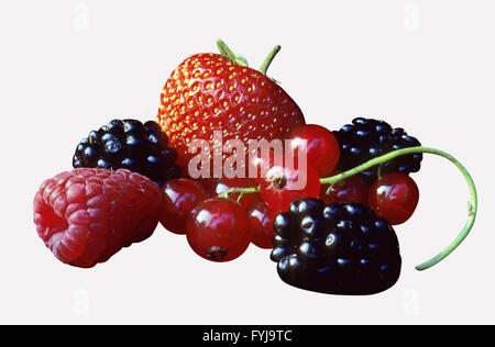 Beeren Stockfoto