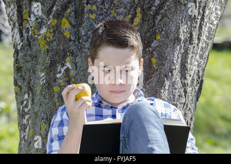 Kleiner Junge liest ein Buch im Wald mit geringer Tiefe Feld und Kopie Stockfoto