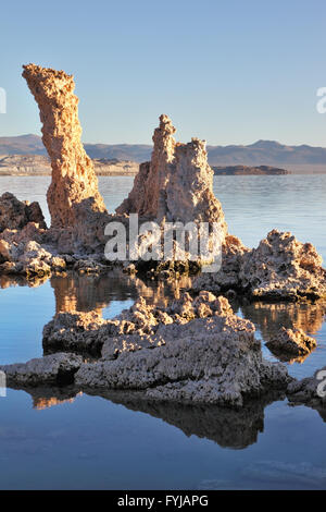 Lake Tufa Stalagmiten spiegelt sich in dem glatten Wasser Stockfoto