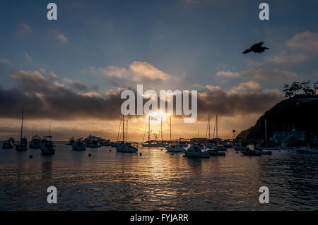 "Luftlinie", Tag Pause auf Catalina Island Hafen in Avalon, Kalifornien; Sonnenaufgang über dem Catalina Island Marina Segelboote Stockfoto