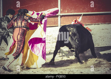 Toreros, Stierkampf, traditionelle spanische Partei, wo ein Matador kämpft einen Stier Stockfoto