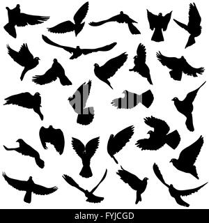 Konzept von Liebe und Frieden. Satz von Silhouetten von Tauben. Vektor-Illustration. Stockfoto