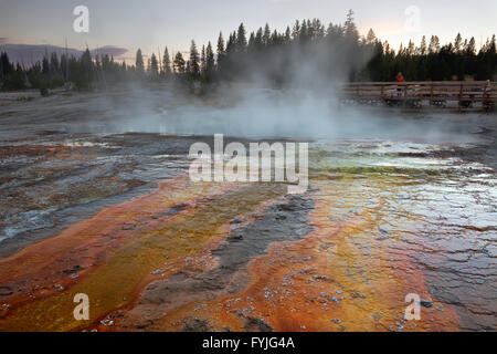 WYOMING - Abend im Black Pool auf dem Ufer von Yellowstone See in West Thumb Geyser Basin im Yellowstone National Park. Stockfoto