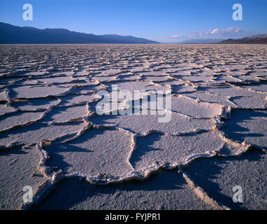 USA, Kalifornien, Death Valley Nationalpark, polygonale Muster in Salzpfanne Erdgeschoss des Death Valley im Abendlicht. Stockfoto