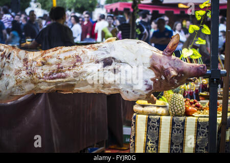 große gegrillte Schweinefleisch Tatsache, Mittelalterfest in Spanien Stockfoto