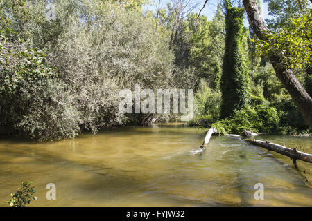 Alberche Flussufer in Toledo, Castilla La Mancha, Spanien Stockfoto