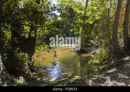 Alberche Flussufer in Toledo, Castilla La Mancha, Spanien Stockfoto