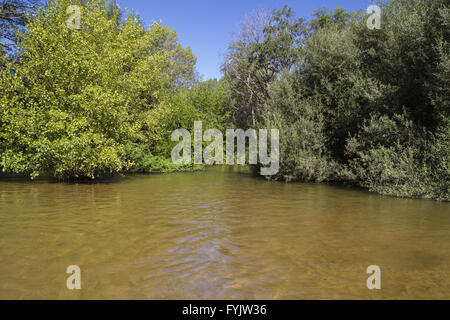 mediterrane Fluss, Alberche Flussufer in Toledo, Castilla La Mancha, Spanien Stockfoto