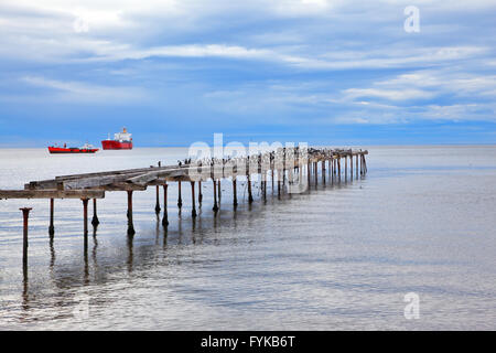 Alten baufälligen Pier in der Magellanstraße Stockfoto