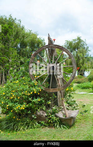 Garten mit alten Holzrad Stockfoto