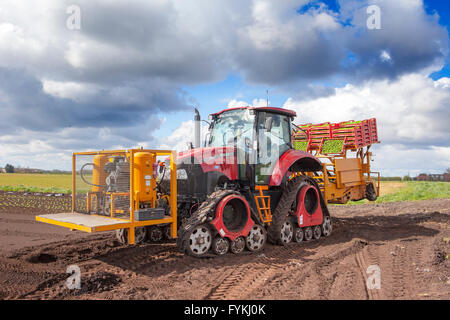 Hesketh Bank, Lancashire, UK. 27. April 2016. UK Wetter: Landwirte in der Salatschüssel von Lancashire sind hielt zurück in die Produktion von Salat ernten aufgrund der anhaltenden Kälte was ist Wachstum einschränken.  Das Gebiet ist ein großer Arbeitgeber der ausländischen Einwanderer Arbeiter & EU-Staatsangehörige, die auf Kurzarbeit beschränkt sind, der einen Schlag auf die Auswirkungen für die lokale Wirtschaft hat.  Die Bauern sind weiterhin unter Schutz Vlies per Satellitennavigation zu Pflanzen. Bildnachweis: Cernan Elias/Alamy Live-Nachrichten Stockfoto