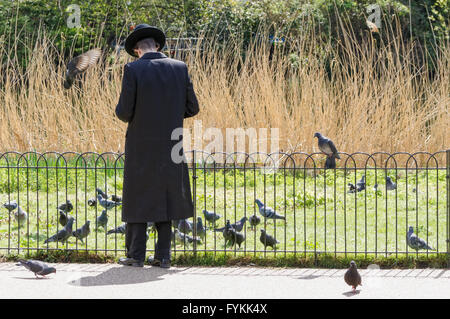 Sonniges Wetter in St James Park, London England Vereinigtes Königreich UK Stockfoto