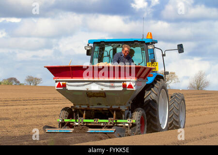 Hesketh Bank, Lancashire, UK. 27. April 2016. UK Wetter: Landwirte in der Salatschüssel von Lancashire sind hielt zurück in die Produktion von Salat ernten aufgrund der anhaltenden Kälte was ist Wachstum einschränken.  Das Gebiet ist ein großer Arbeitgeber der ausländischen Einwanderer Arbeiter & EU-Staatsangehörige, die auf Kurzarbeit beschränkt sind, der einen Schlag auf die Auswirkungen für die lokale Wirtschaft hat.  Die Bauern sind weiterhin unter Schutz Vlies per Satellitennavigation zu Pflanzen. Bildnachweis: Cernan Elias/Alamy Live-Nachrichten Stockfoto