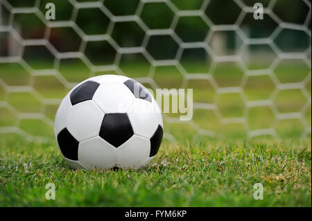 Close-up-Fußball auf dem grünen Rasen Stockfoto