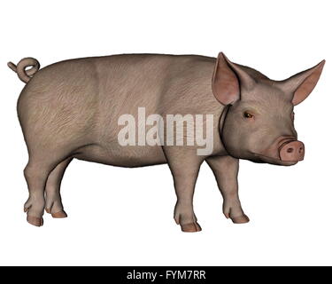 Schwein-stehend - 3D render Stockfoto