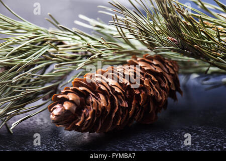 Tannenzapfen auf hölzernen Hintergrund. Stockfoto