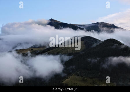 Karpaten nach Regen Stockfoto