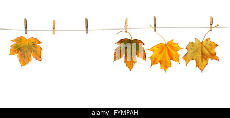 Ahornblätter auf Wäscheklammern mit dem Wort Herbst Stockfoto