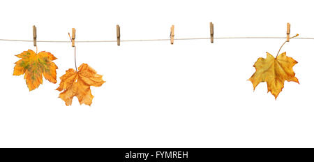 Ahornblätter auf Wäscheklammern mit dem Wort Herbst Stockfoto