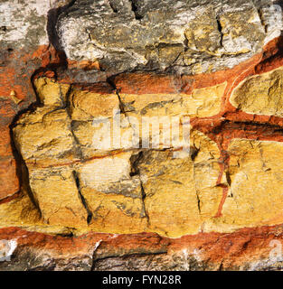 abstrakte Lanzarote Stein und Flechten Stockfoto