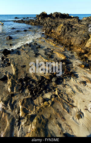 Madagaskar Andilana Beach Algen in und rock Stockfoto