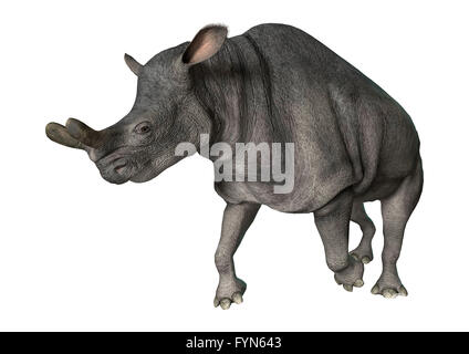 3D-Rendering eines Brontotherium laufenden isoliert auf weißem Hintergrund Stockfoto