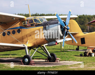 Flugzeuge auf grünem Gras stehen. Zwei alte gelbe Doppeldecker im retro-Stil. Gelben Flugzeuge. Stockfoto