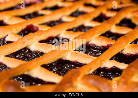 frischen Heidelbeerkuchen Stockfoto