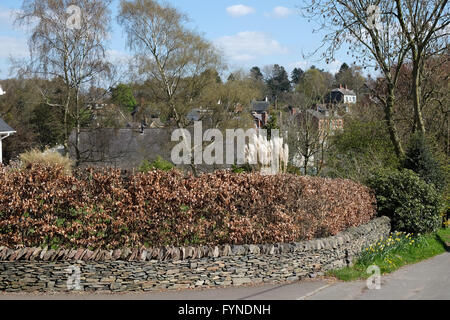 Woodhouse Eaves in leicestershire Stockfoto