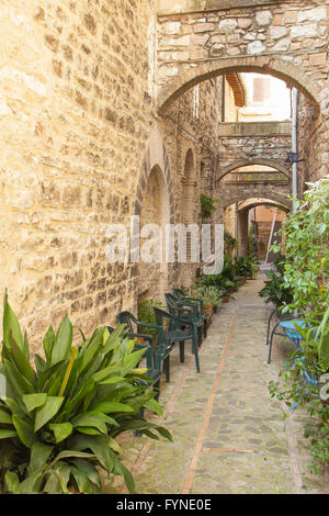 Straße dekoriert mit Pflanzen in der historischen italienischen Stadt. (Spello, Umbrien, Italien.) Stockfoto