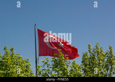 Türkische rote Flagge am Mast über Bäume Stockfoto