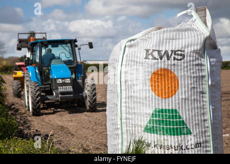 Verwendung von Satellitennavigationssystemen während KWS Pflanzkartoffeln Pflanzen und säen mit Sämaschine/Übertopf mit einem Traktor.  Bereich Maschinen eignen sich für weite Reihenkulturen und schmalen Reihenkulturen und und führen zu gemusterten Felder, die mit dieser Methode der Precision Agriculture (PA) des Satelliten, die Landwirtschaft mit spezifischen Kultur Bauleitung (SSCM). Tarleton, Lancashire, UK Stockfoto