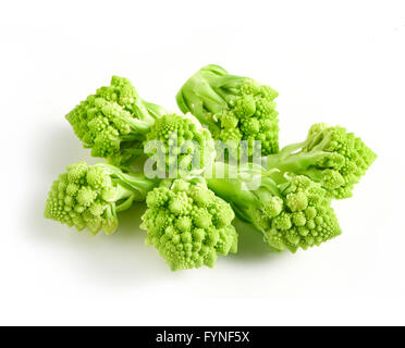 Schneiden Sie Röschen des frischen grünen rohen Romanesco Brokkoli auf einem weißen Hintergrund angezeigt Stockfoto