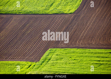Agrarlandschaft Schichten Feld und Wiese Blick von oben Stockfoto