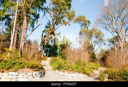 Schritte und Weg im Washington Park Arboretum Stockfoto