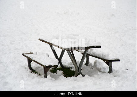Schneebedeckte, Picknick-Tisch Stockfoto