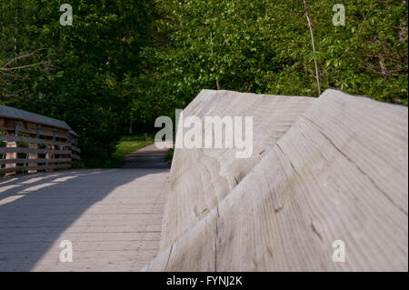 Holz-Brücke in Washington Park Arboretum Stockfoto